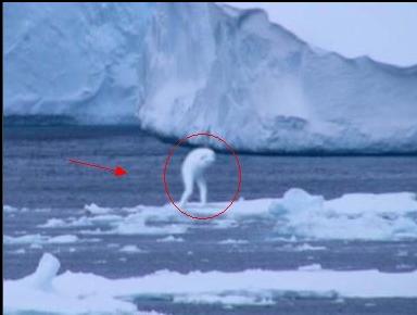 神秘南极发现了30米高巨型人类-奇闻趣事-三支